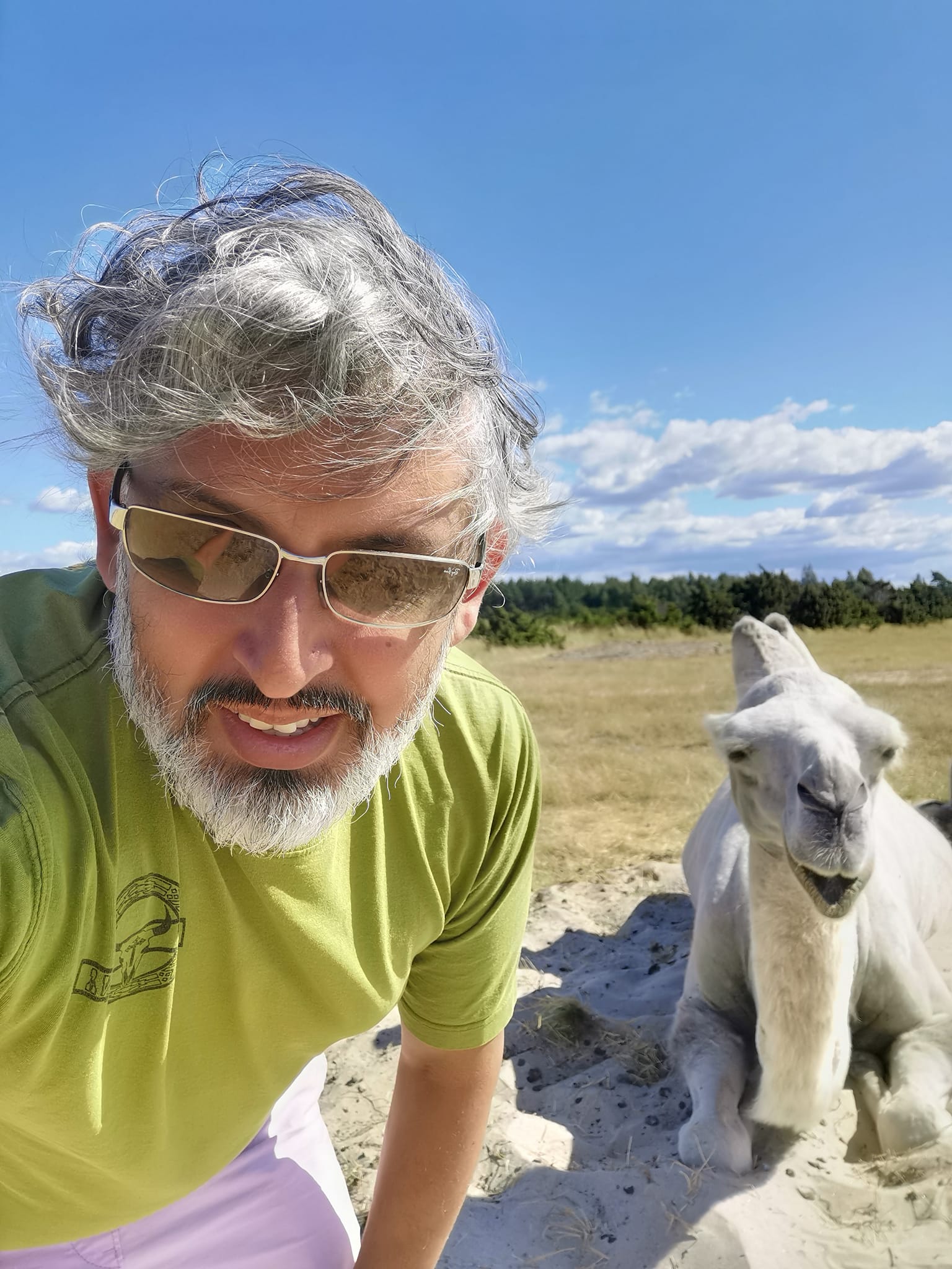 En manligt kodad person i grön t-shirt och solglasögon tar en selfie med en vit kamel.