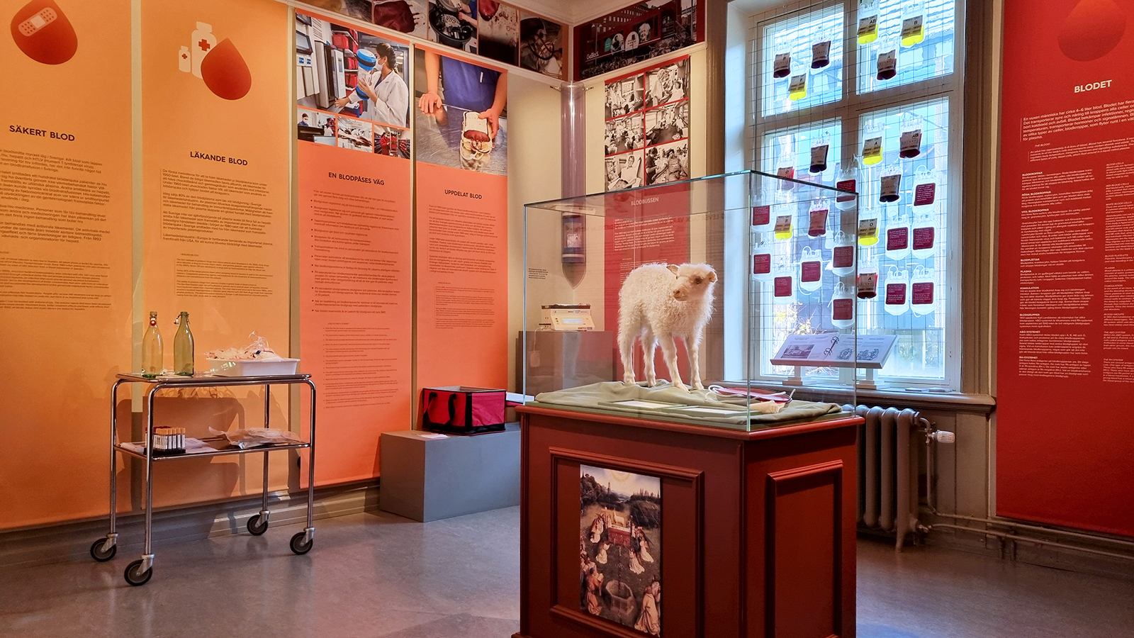 En bild inifrån ett rum med fönster i ett museum, där vepor med text och bild klär väggarna. I mittens syns en utställningsmonter med ett vitt uppstoppat djur.